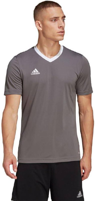 Immagine di adidas Uomo Jersey (Short Sleeve) Ent22 JSY, Team Grey Four, HE1574, MT